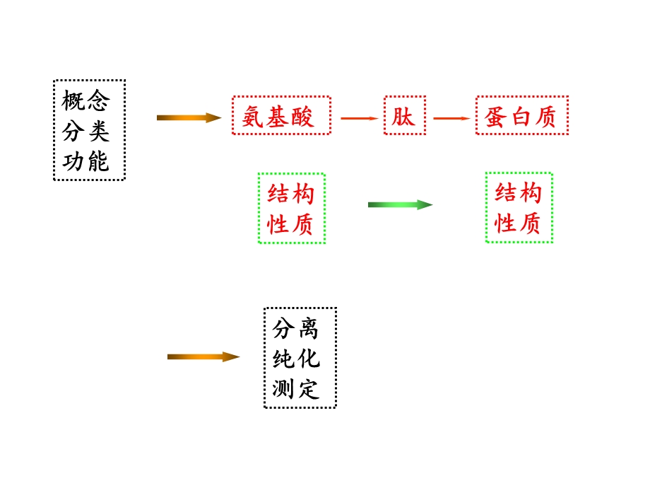 生化chapter 0307 amino acids and proteins1.ppt_第2页