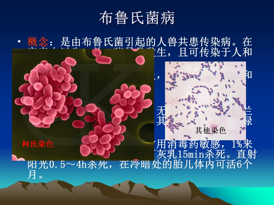 《布氏杆菌病》PPT课件.ppt_第2页