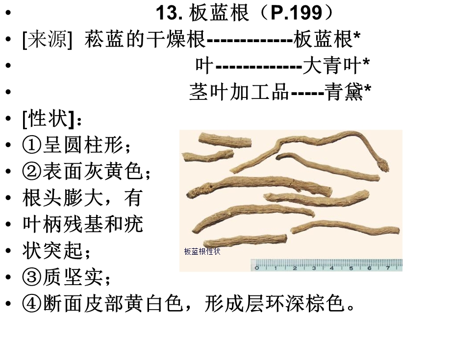 《各论被子植物》PPT课件.ppt_第1页