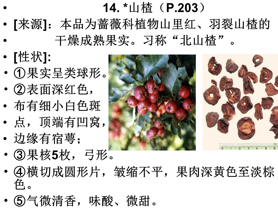 《各论被子植物》PPT课件.ppt_第3页