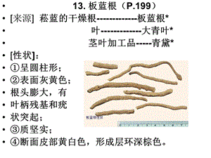 《各论被子植物》PPT课件.ppt