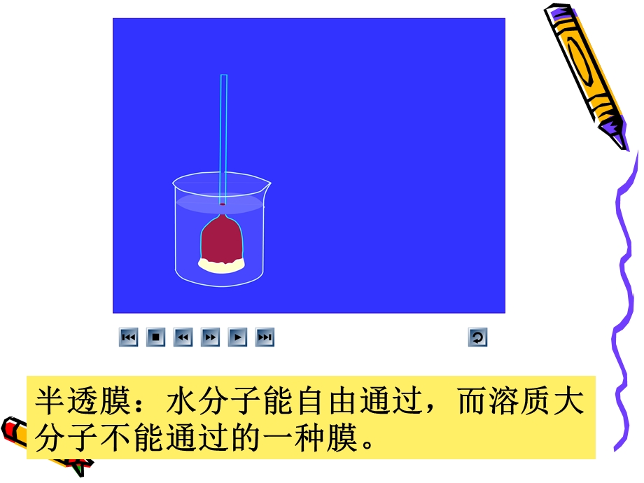 细胞的吸水和失水细胞膜对信息的接受.ppt_第3页