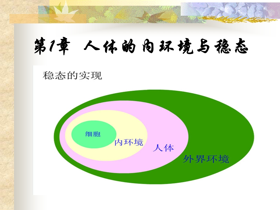 细胞生活环境讲课藁.ppt_第1页