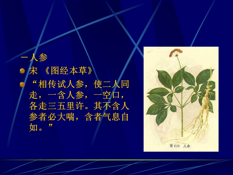 《中药补气药》PPT课件.ppt_第2页