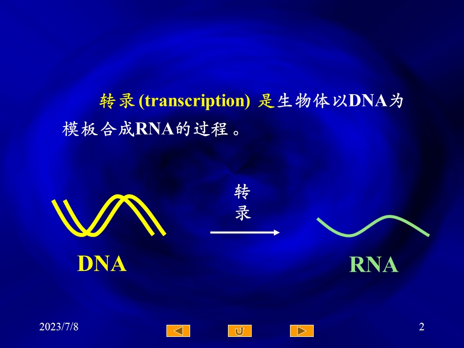 《RNA转录》PPT课件.ppt_第2页