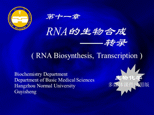 《RNA转录》PPT课件.ppt