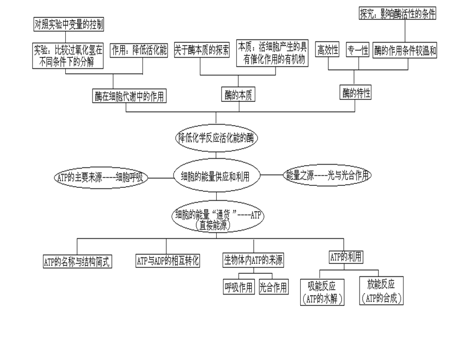 专题 光合呼吸.ppt_第3页