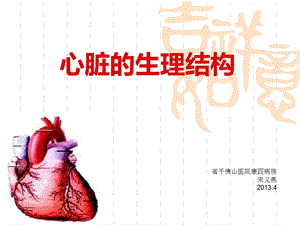 《心脏生理结构》PPT课件.ppt