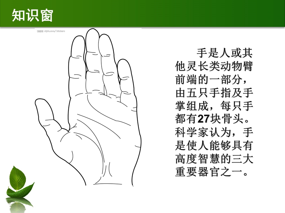 《会说话的手》PPT课件.ppt_第3页