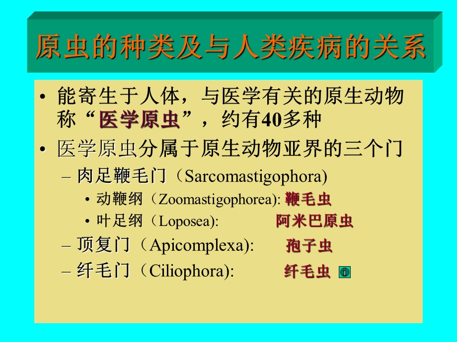 《医学原虫》PPT课件.ppt_第3页