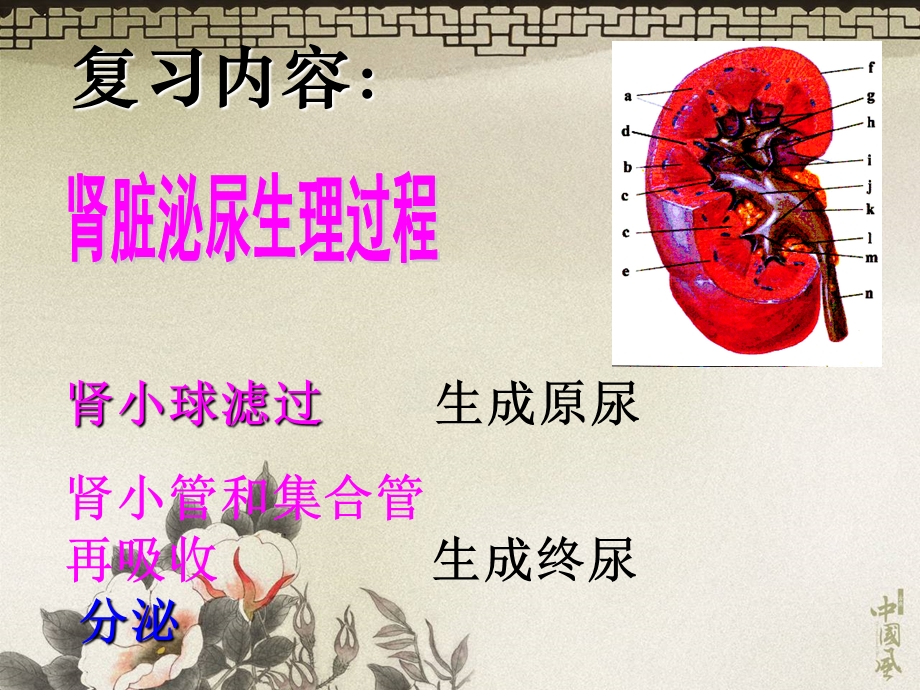 《心血管药理》PPT课件.ppt_第3页