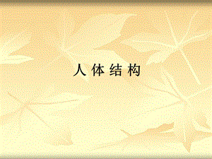 《人体结构》PPT课件.ppt