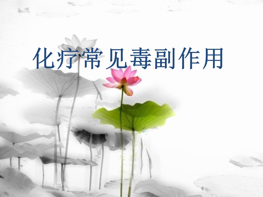 《化疗毒副作用》PPT课件.ppt_第1页