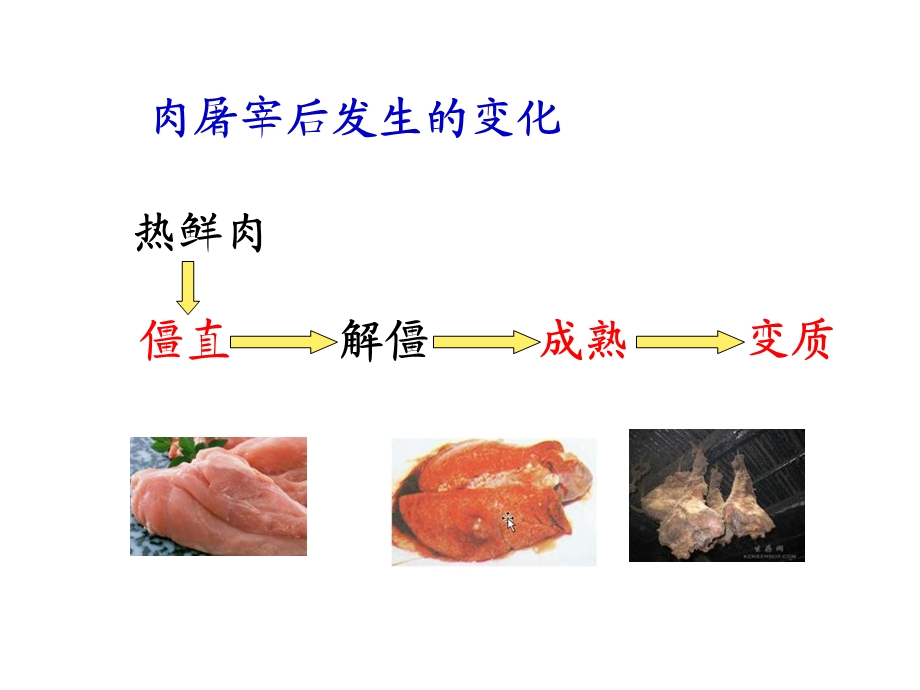 《宰后肉的变化》PPT课件.ppt_第3页