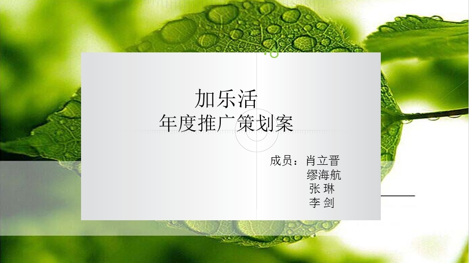 《加乐活策划案》PPT课件.ppt_第1页