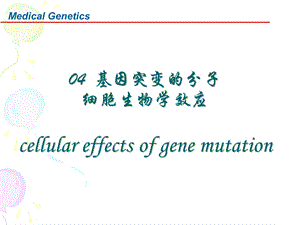 医学遗传学 04基因突变的分子机制eng v.ppt