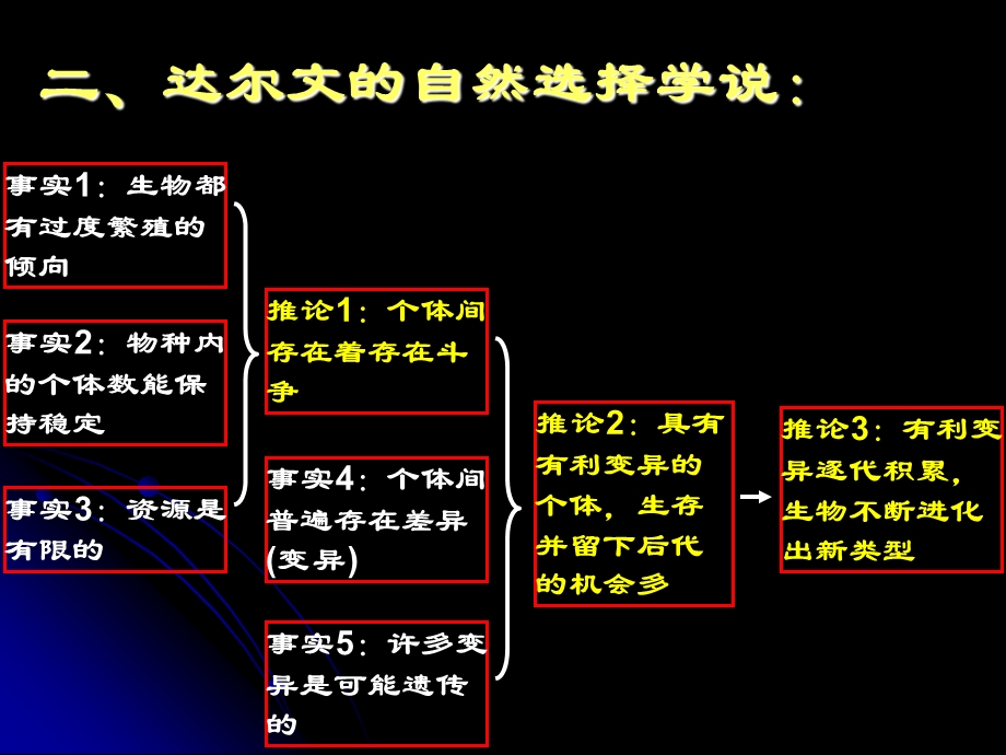 《复习进化内容》PPT课件.ppt_第3页