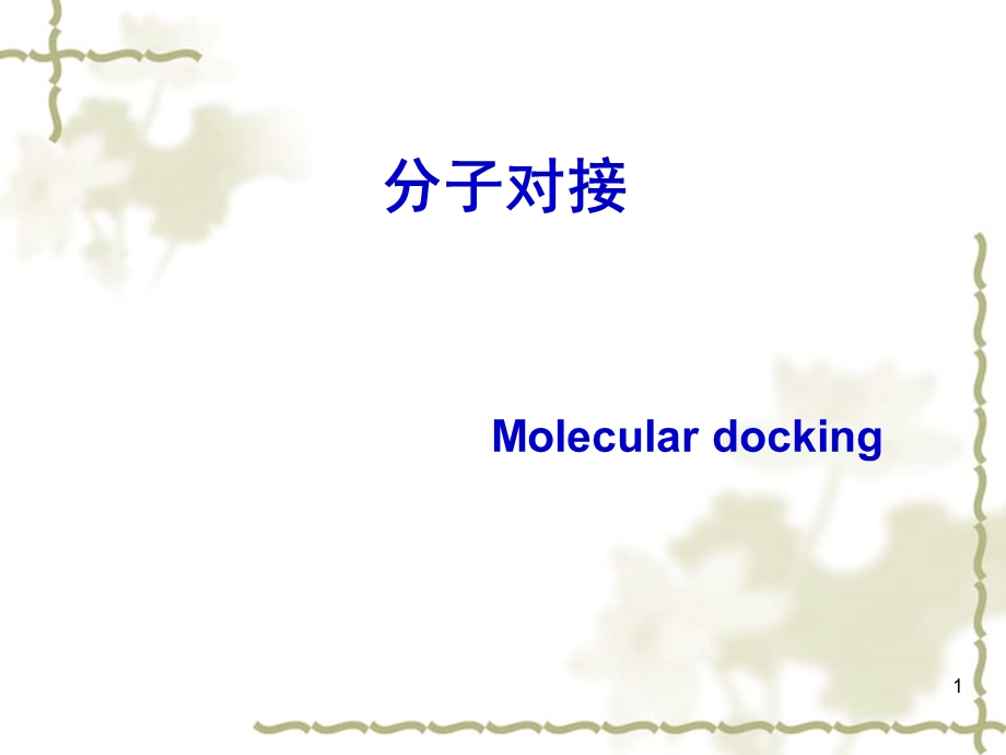 《分子对接方法》PPT课件.ppt_第1页