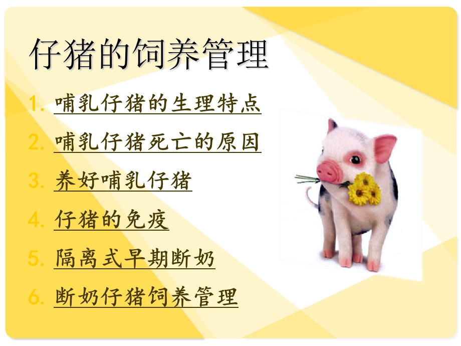 《养猪与猪病防治》PPT课件.ppt_第2页