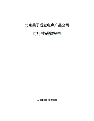 北京关于成立电声产品公司可行性研究报告.docx