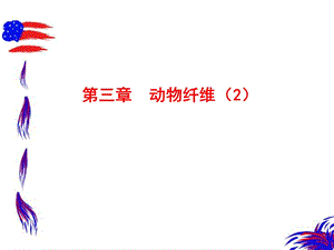 《动物纤维》PPT课件.ppt