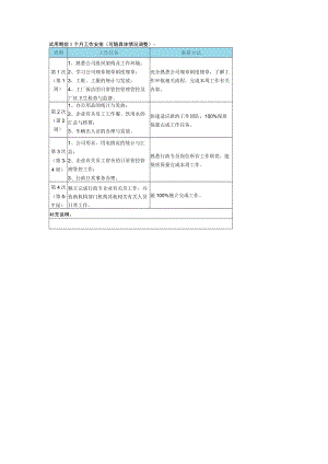 办公文档范本试用期工作安排.docx