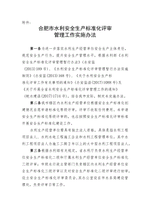 合肥市水利安全生产标准化评审.docx