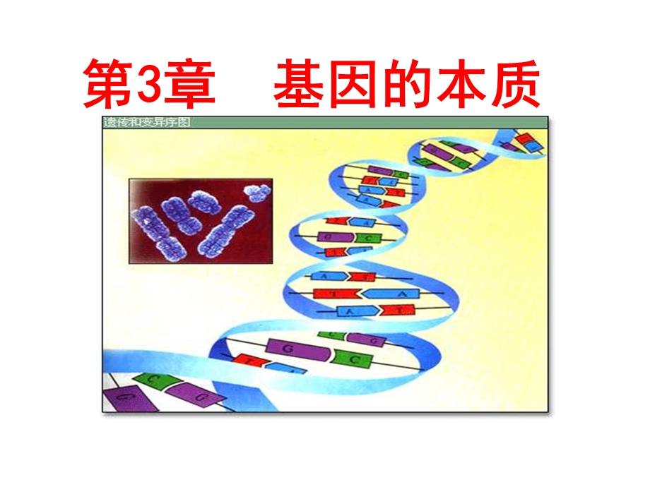 《基因的本质》PPT课件.ppt_第1页