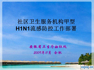 社区卫生服务机构甲型HN流感防控工作部署.ppt