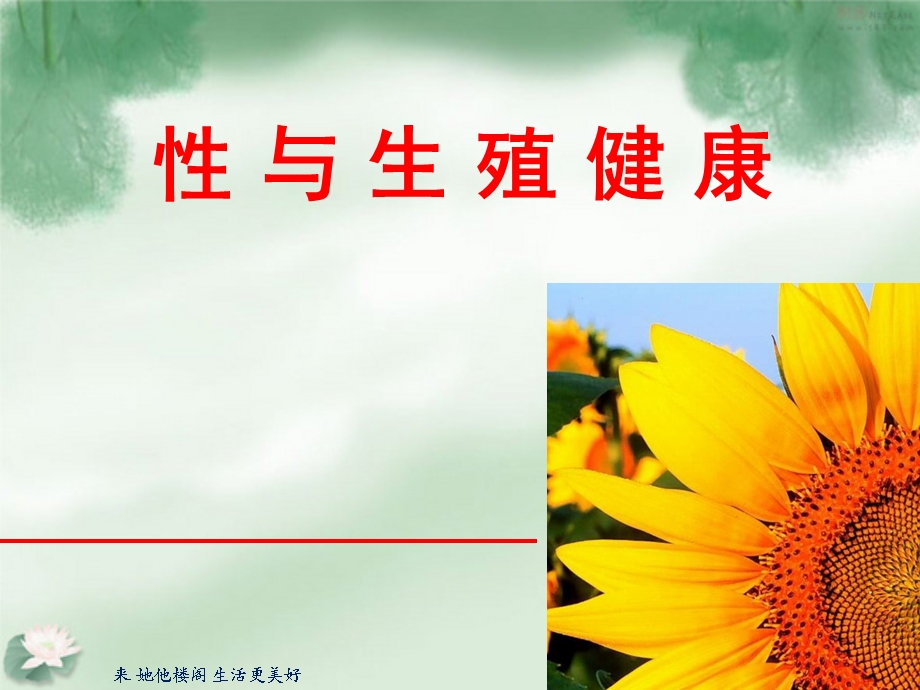 《性与生殖健康》PPT课件.ppt_第1页