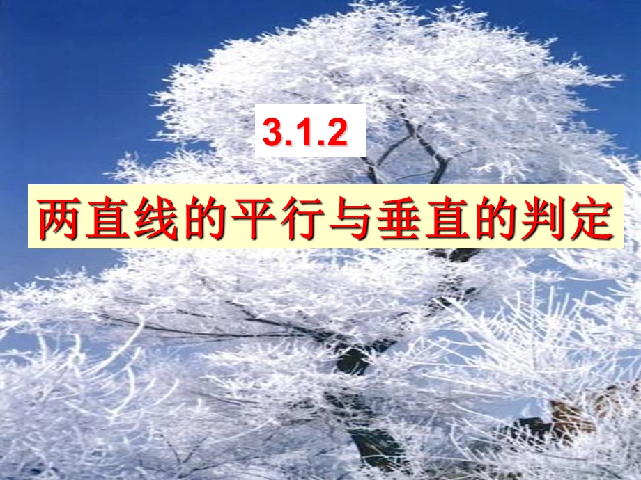 6463.1.2 两条直线平行与垂直的判定.ppt_第3页