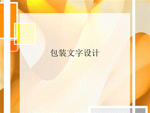 《包装文字设计》PPT课件.ppt