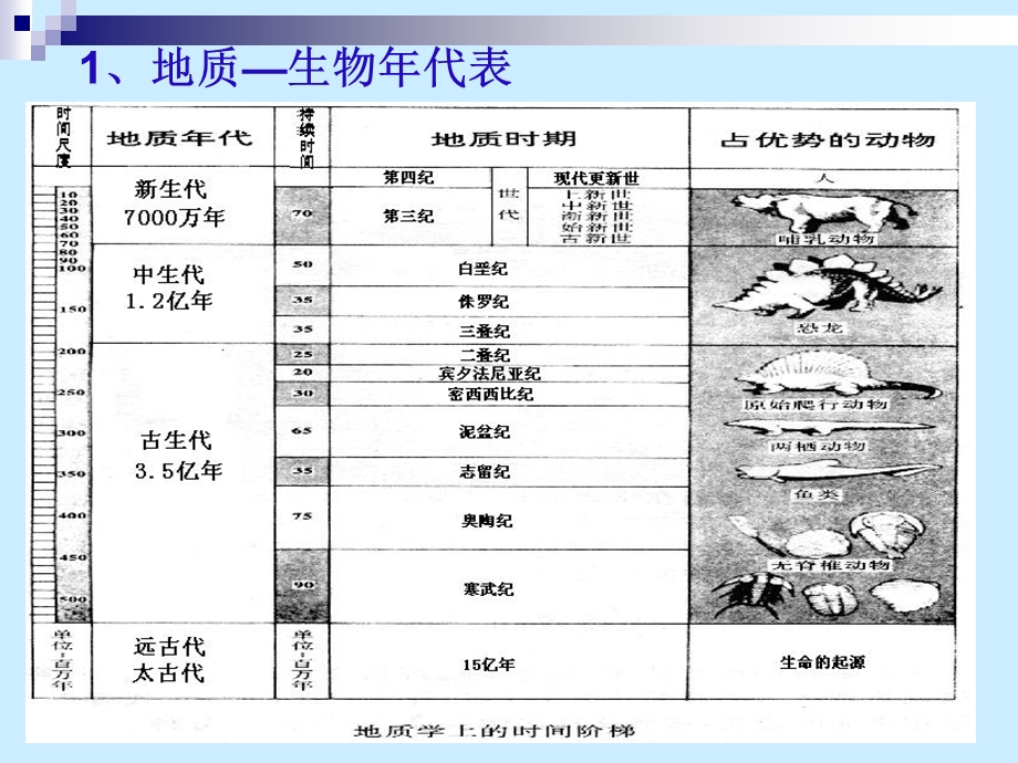 《恐龙灭绝的启》PPT课件.ppt_第3页