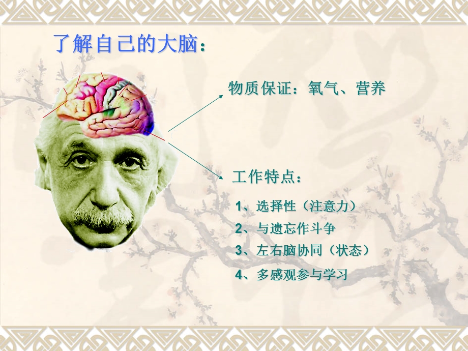 云阳学校邵卫平.ppt_第2页