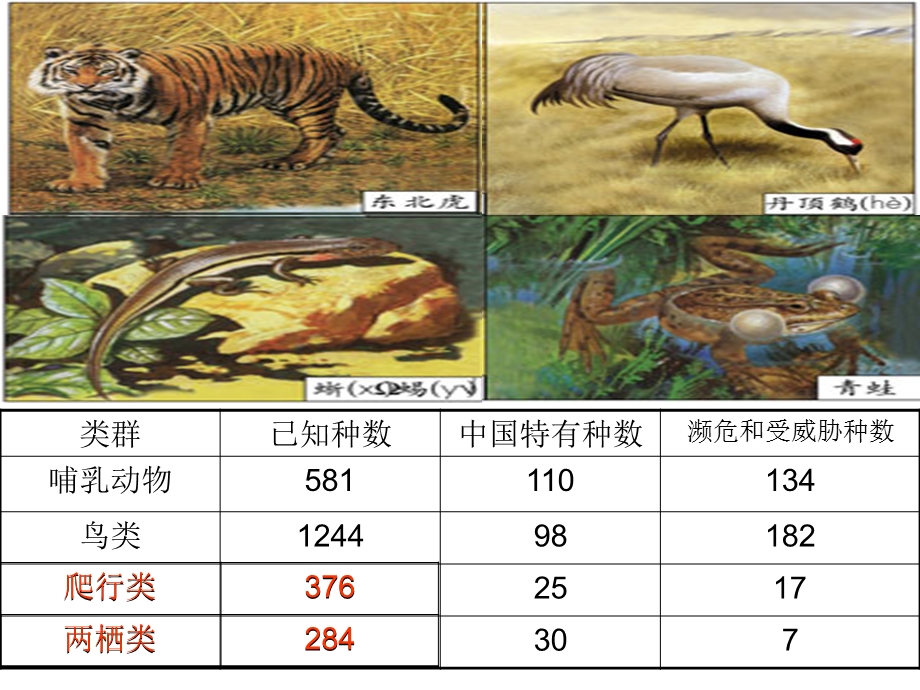 《位数加三位数》PPT课件.ppt_第3页