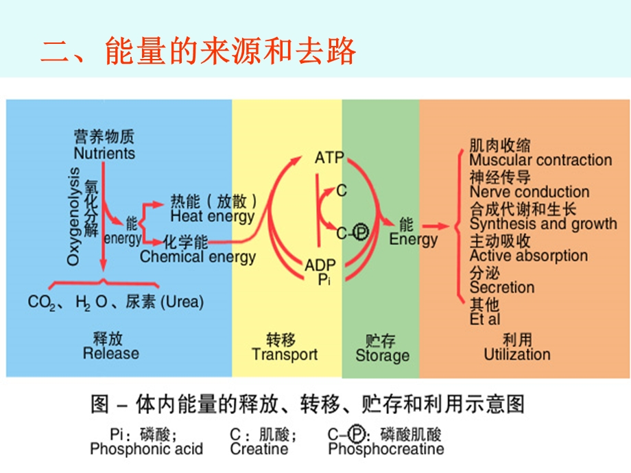 《体温多媒体》PPT课件.ppt_第3页