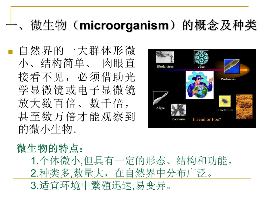 《医学微生物概述》PPT课件.ppt_第2页