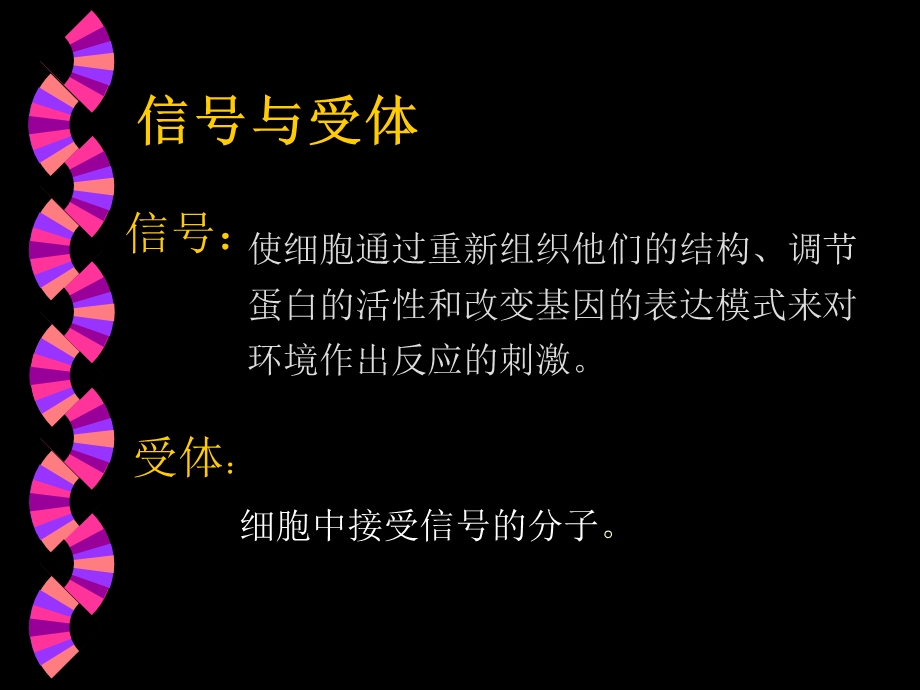 信号转导ppt课件.ppt_第3页