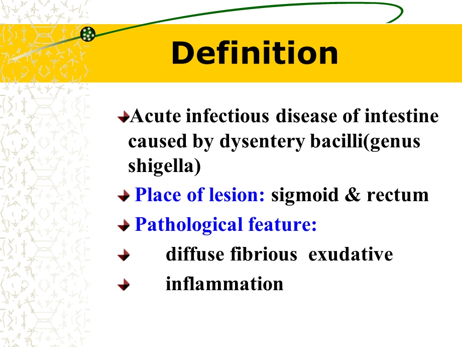 《医学痢疾》PPT课件.ppt_第2页