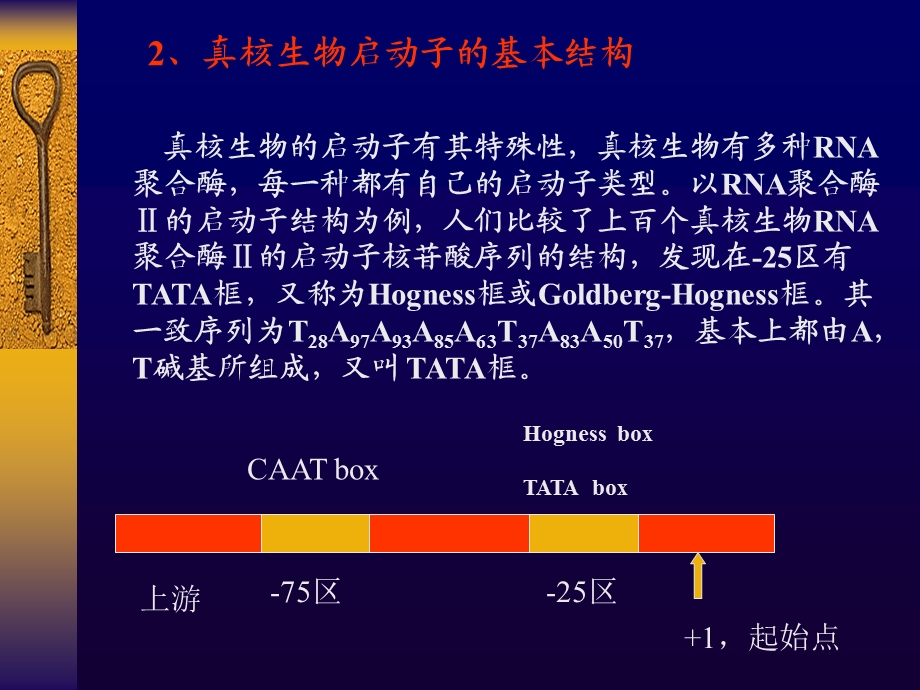 《分子生物学讲座》PPT课件.ppt_第3页