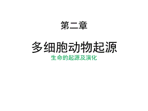 《多细胞动物起源》PPT课件.ppt