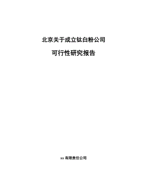 北京关于成立钛白粉公司可行性研究报告.docx