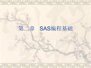 《SAS编程基础》PPT课件.ppt