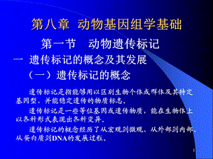 《动物基因组学基础》PPT课件.ppt