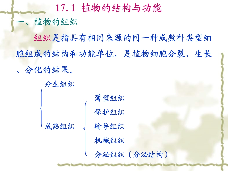 17植物的结构与生殖.ppt_第3页