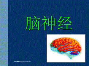 医学百事通移动医疗资料库——脑神经(转载).ppt