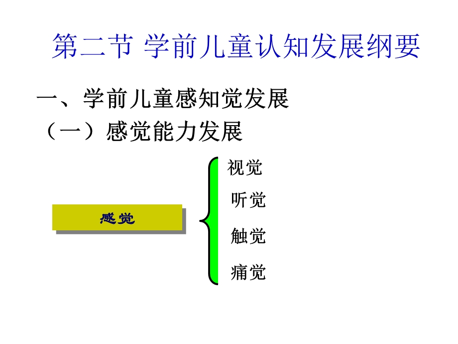 学前儿童感觉能力的发展.ppt_第1页