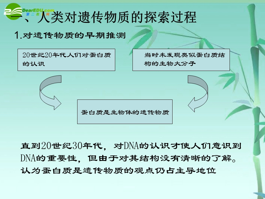 专题三 遗传的基础和遗传定律课件 新人教版.ppt_第3页