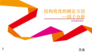 《SPSS因子分析》PPT课件.ppt