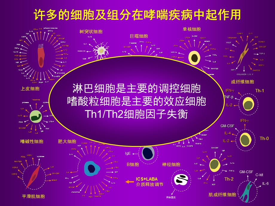 《哮喘联合治疗》PPT课件.ppt_第3页